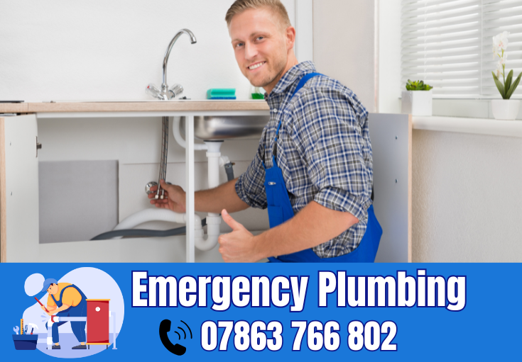  plumber Kingsley