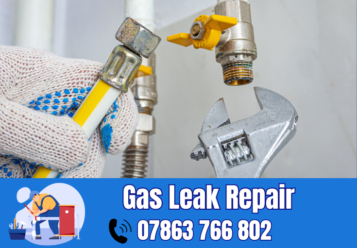 gas leak repair Frodsham