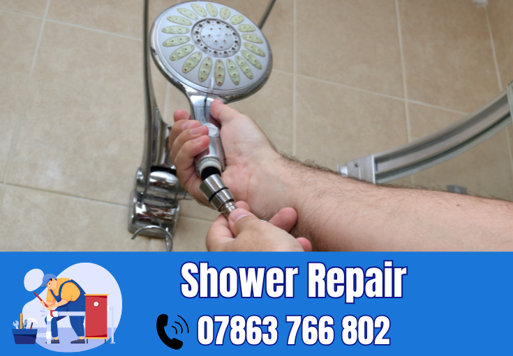 shower repair Frodsham