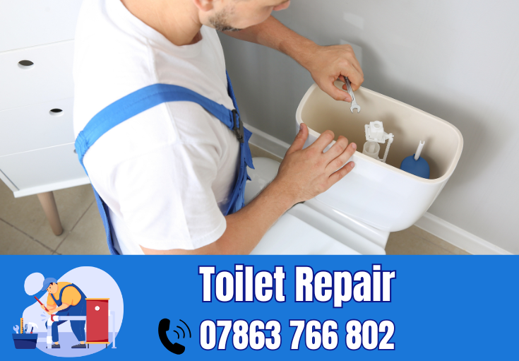 toilet repair Frodsham